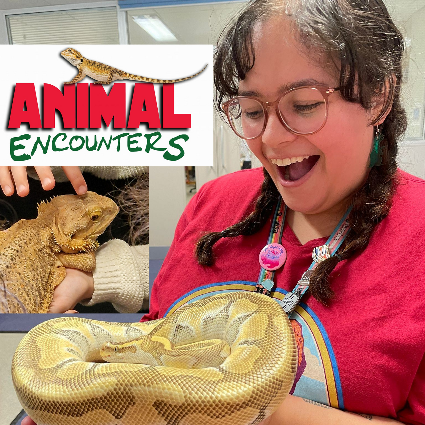 Animal Encounters: Animal handling and educational talk - Basingstoke Discovery Centre - Friday 20th February 2026
