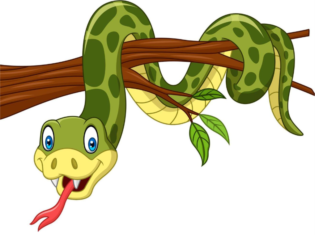 Animal Encounters - Eastleigh Library - Tuesday 4th August 2026 - 12.00pm