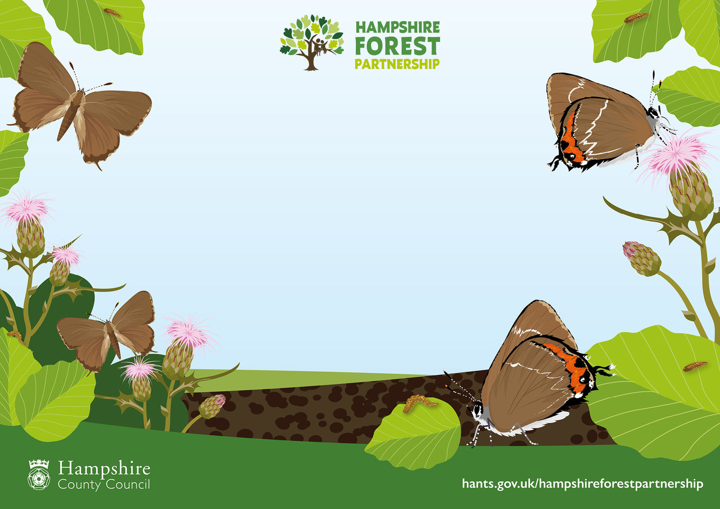 Support Hampshire Forest Partnership (Monthly donation)
