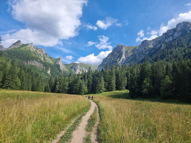 Nature-Based Resilience Workshop - Basingstoke Discovery Centre - Saturday 21st February 2026 - 10.30am