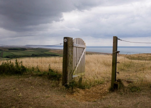 Photography and Digital Skills - Ringwood Library - Tuesday 11th, 18th, 25th November and 2nd December 2025 - 2.00pm