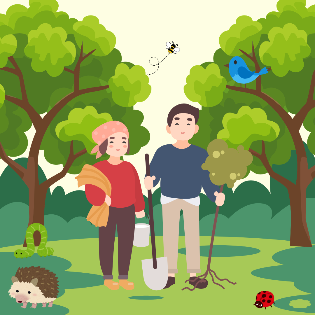 Wildlife Friendly Gardening for Beginners at Lepe Country Park - Wednesday 8th July 2026 - 11.00am