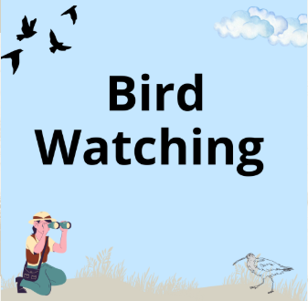 Bird Walk with Toby at Lepe Country Park - Tuesday 26th May 2026 - 1.00pm