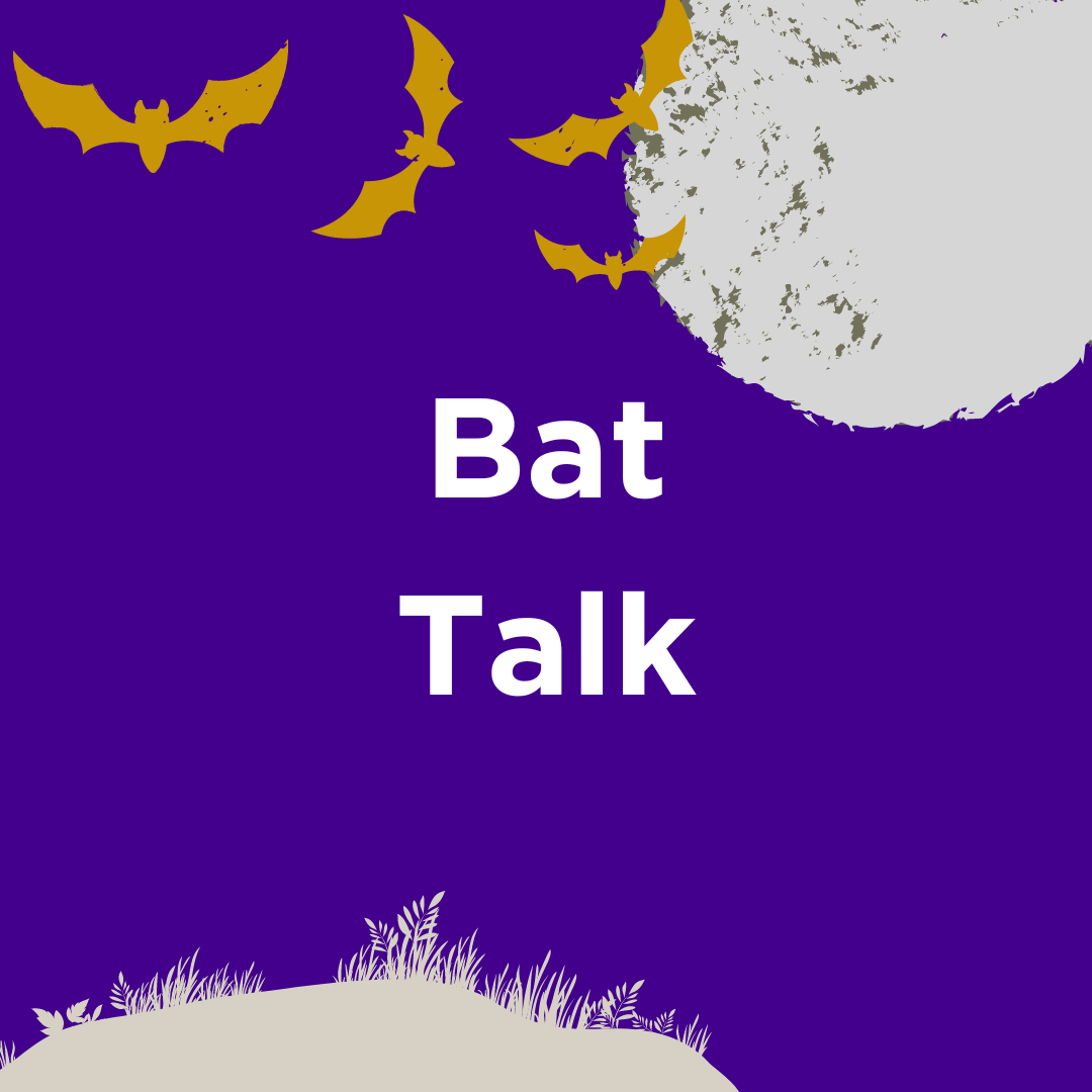 Bat Talk & Walk at Lepe Country Park - Friday 17th April 2026 - 7.00pm