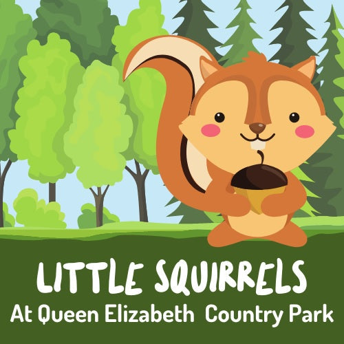 Little Squirrels at Queen Elizabeth Country Park - Autumn one - Tuesday 14th and 21st October 2025 - 10.30am