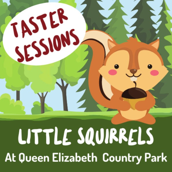 Little Squirrels at Queen Elizabeth Country Park - Autumn One (TASTER SESSION) - Tuesday 7th, 14th or 21st October 2025 - 10.30am