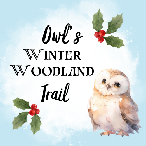Owl's Winter Woodland Trail at Queen Elizabeth Country Park - Saturday 29th November to Sunday 4th January 2026