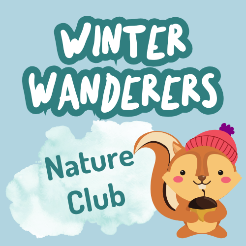 Winter Wanderers at Queen Elizabeth Country Park - Tuesday 13th, 27th January or 10th February 2026 - 10.30am