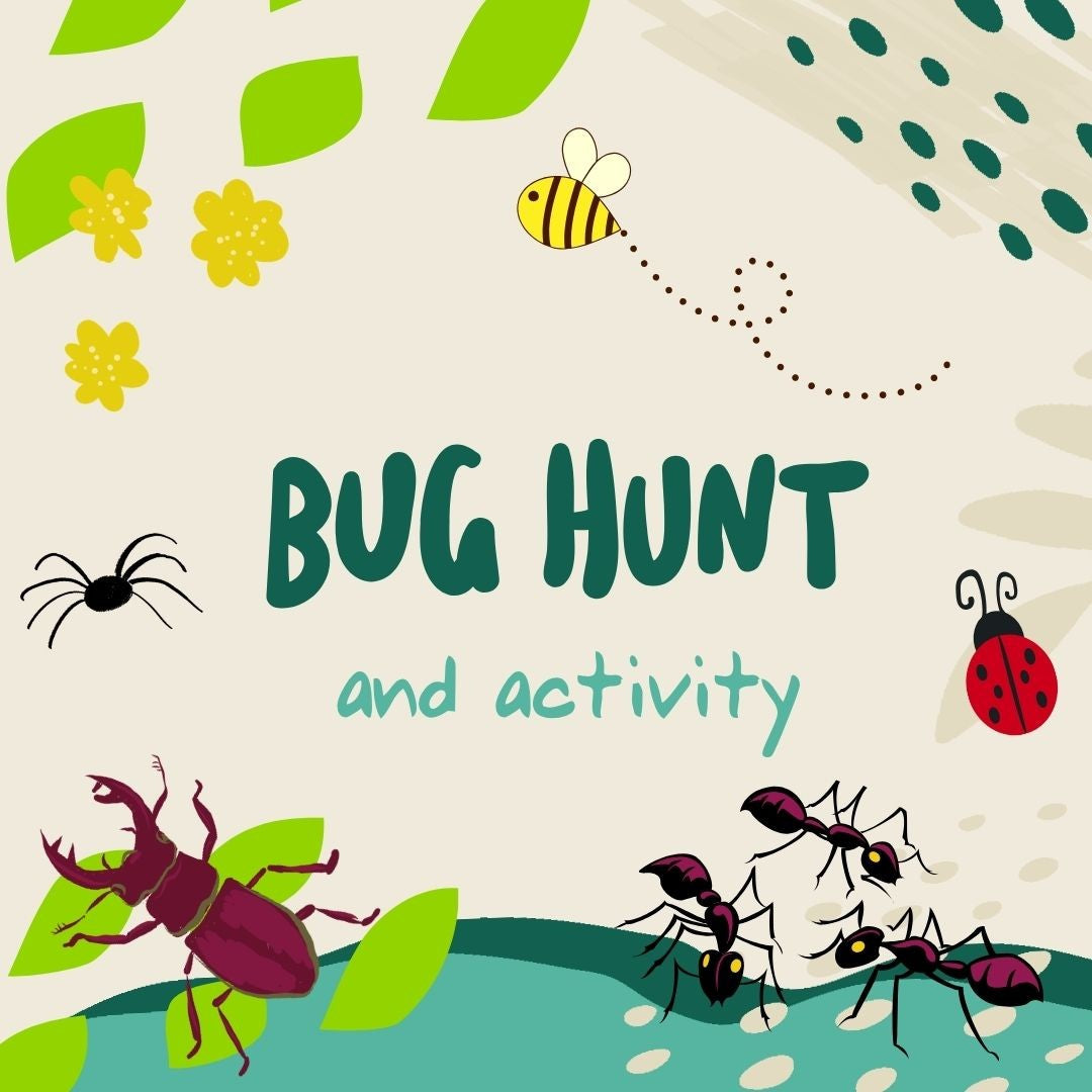 Bug Hunt and activity at River Hamble Country Park - Tuesday 18th August 2026 - 10.30am