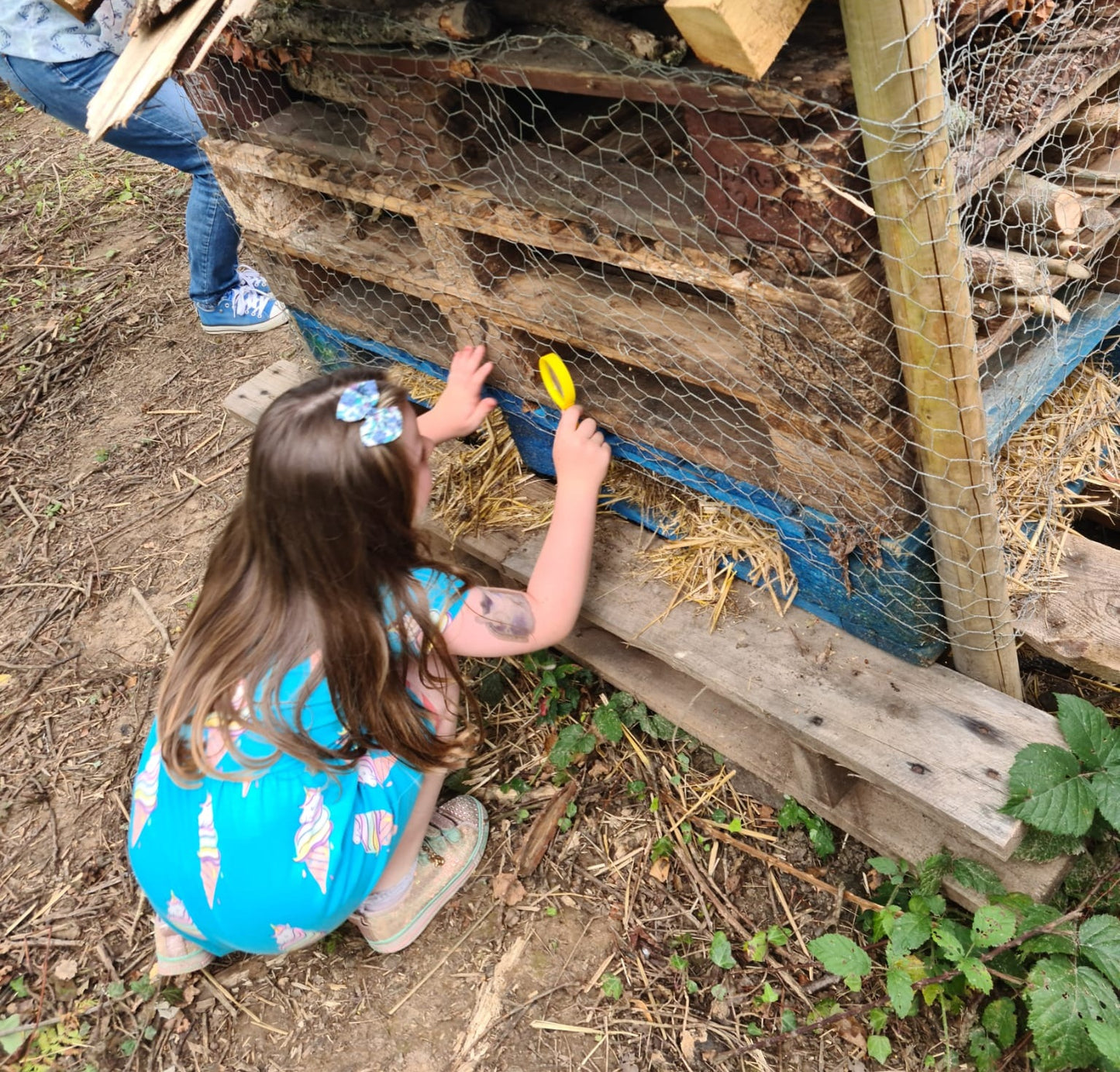 Mini-beast hunt and activity workshop at River Hamble Country Park - Tues 5th, 12th, 19th or 26th August 2025 - 10.30am