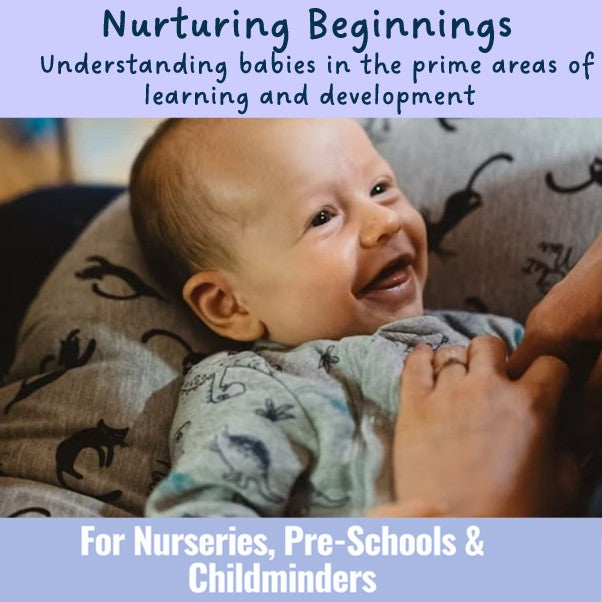 Academies and Independent Schools in Hampshire, Providers from Outside Hampshire and Other Organisations - Nurturing Beginnings: Understanding babies in the prime areas of learning and development