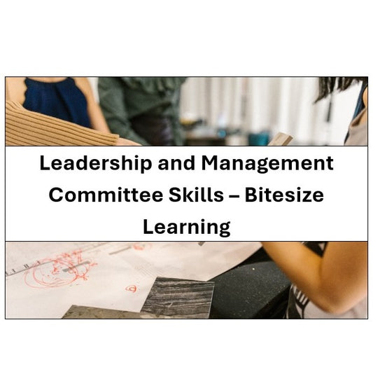 Academies and Independent Schools in Hampshire, Providers from Outside Hampshire and Other Organisations - Leadership and Management Committee Skills – Bitesize Learning