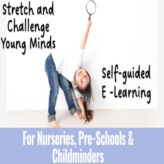 Academies and Independent Schools in Hampshire, Providers from Outside Hampshire and Other Organisations - NEW! Stretch and Challenge Young Minds Self-Guided E-Learning