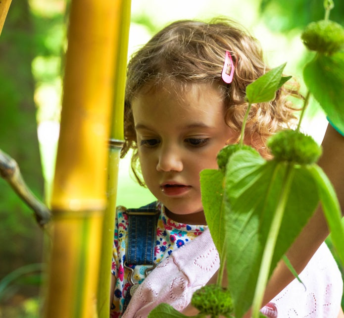 Sir Harold Hillier Gardens - Workshop - Arty Family Fun - Friday 30th May 2025 - 10.15am