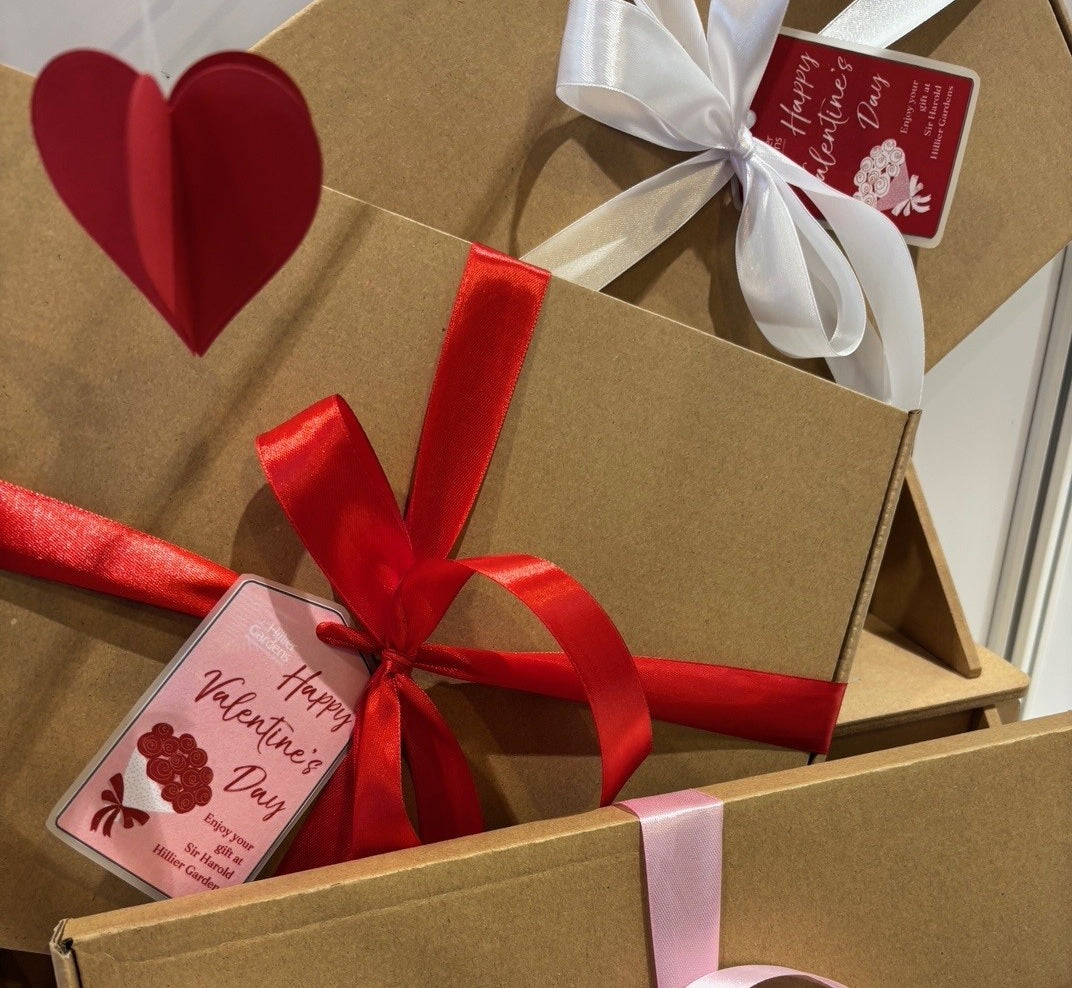 Membership to Sir Harold Hillier Gardens - SINGLE - Valentine Gift Bundle