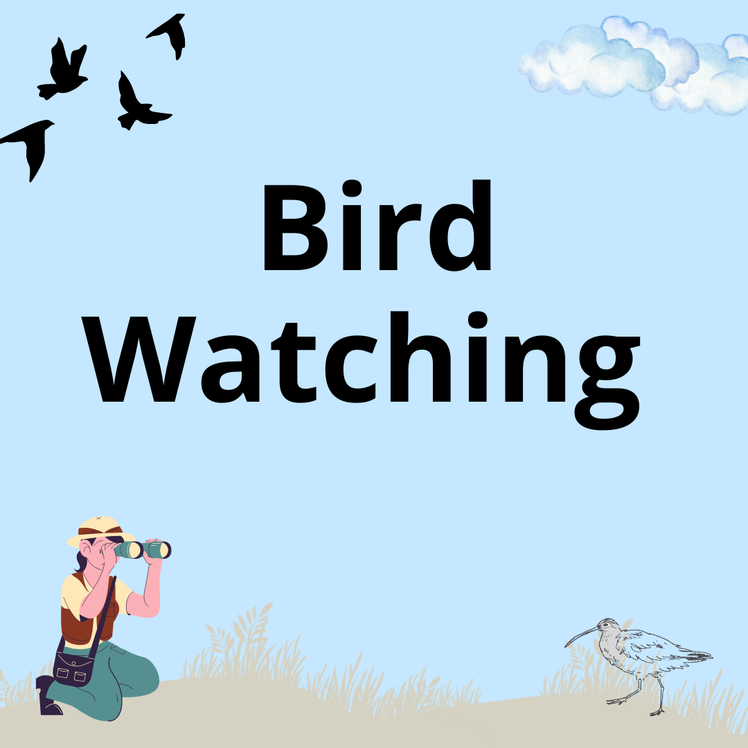Bird Watching with Toby - Thursday 13th November 2025 - 11.00am