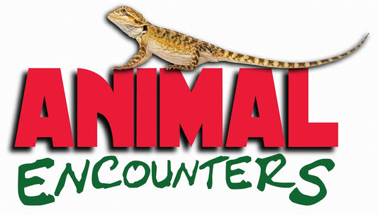 Animal Encounters: animal handling and educational talk - Winchester Library - Friday 31st October 2025 - 10.00am