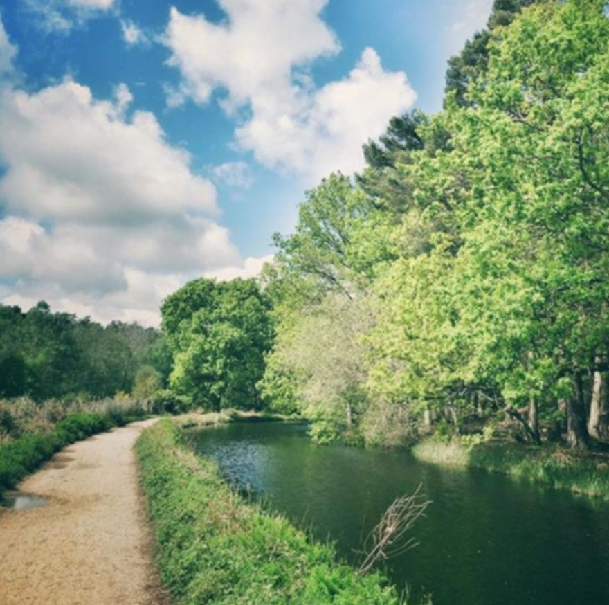 Model boat licence day Hampshire County Council Shop
