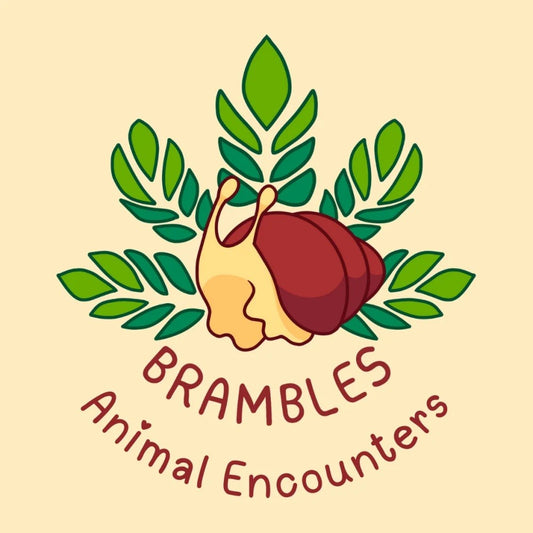 Brambles Animal Encounters - Hythe Library - Saturday 23rd May 2026