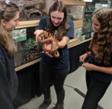 Hampshire DofE Gold Residential - Become a Zoo Keeper at Dartmoor Zoo - Monday 12th to Friday 16th August 2024
