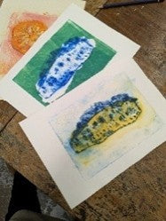 Sir Harold Hillier Gardens - Drypoint Printmaking - Art Workshop - Sunday 1st November 2026 - 10.00am