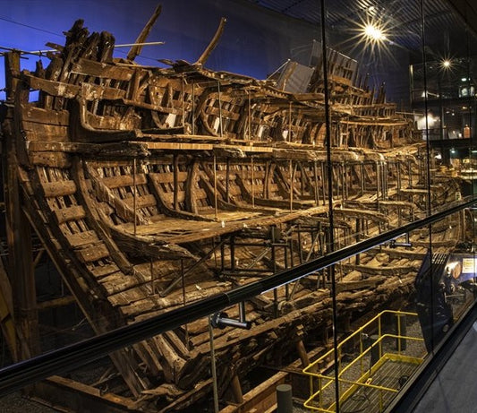 Mary Rose Presentation - Fareham Library - Friday 14th February 2025 - 2.00pm