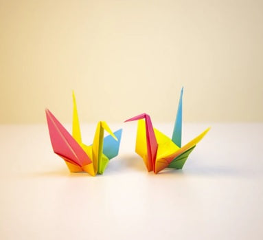 Origami for Beginners - Totton Library - Friday 12th, 19th, 26th January, 2nd and 9th February 2024