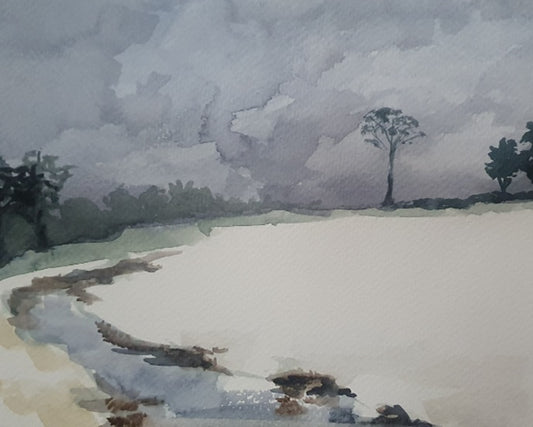 Using Watercolour – Painting the Seasons - Petersfield Library - Monday 3rd, 10th, 17th, 24th and 31st March 2025 - 10.00am