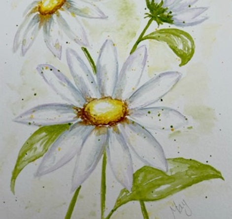 Watercolour Daisy Workshop - Ringwood Library - Tuesday 14th May 2024