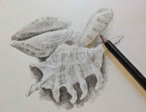 Drawing a Still Life Composition - Yateley Library - Saturday 11th October 2025 - 10.00am