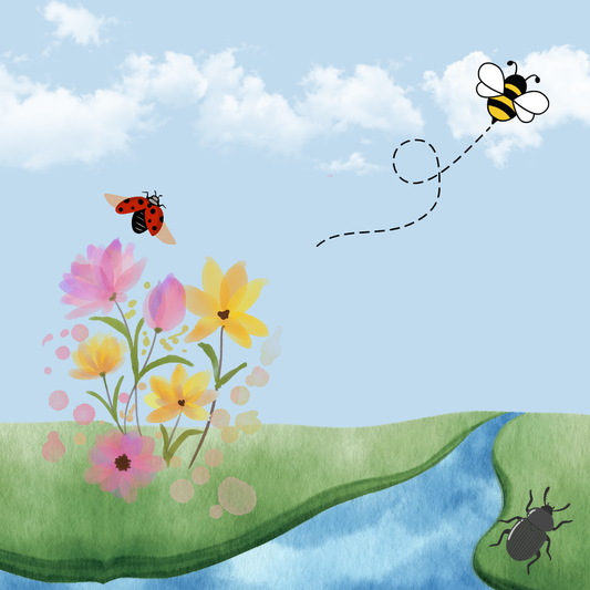 Insect Walk with Toby at Lepe Country Park - Thursday 2nd July 2026 - 2.00pm