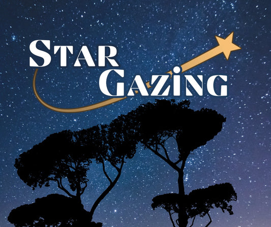 Stargazing at Lepe Country Park - Friday 12th September 2025 - 8.00pm