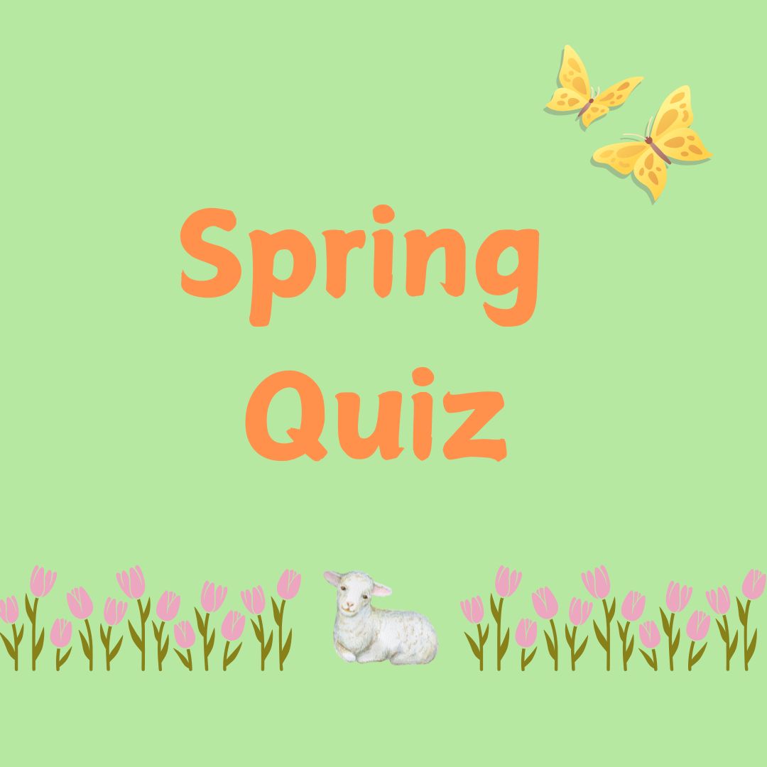 Spring Quiz at Lepe Country Park - Friday 21st March 2025 - 6.00pm