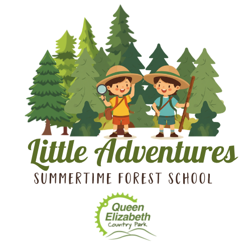 Little Explorers Summertime Forest School at Queen Elizabeth Country Park - Wednesday 5th August 2026 - 10.30am