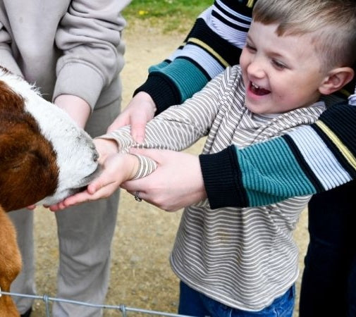 Manor Farm - Family Plus Annual Membership