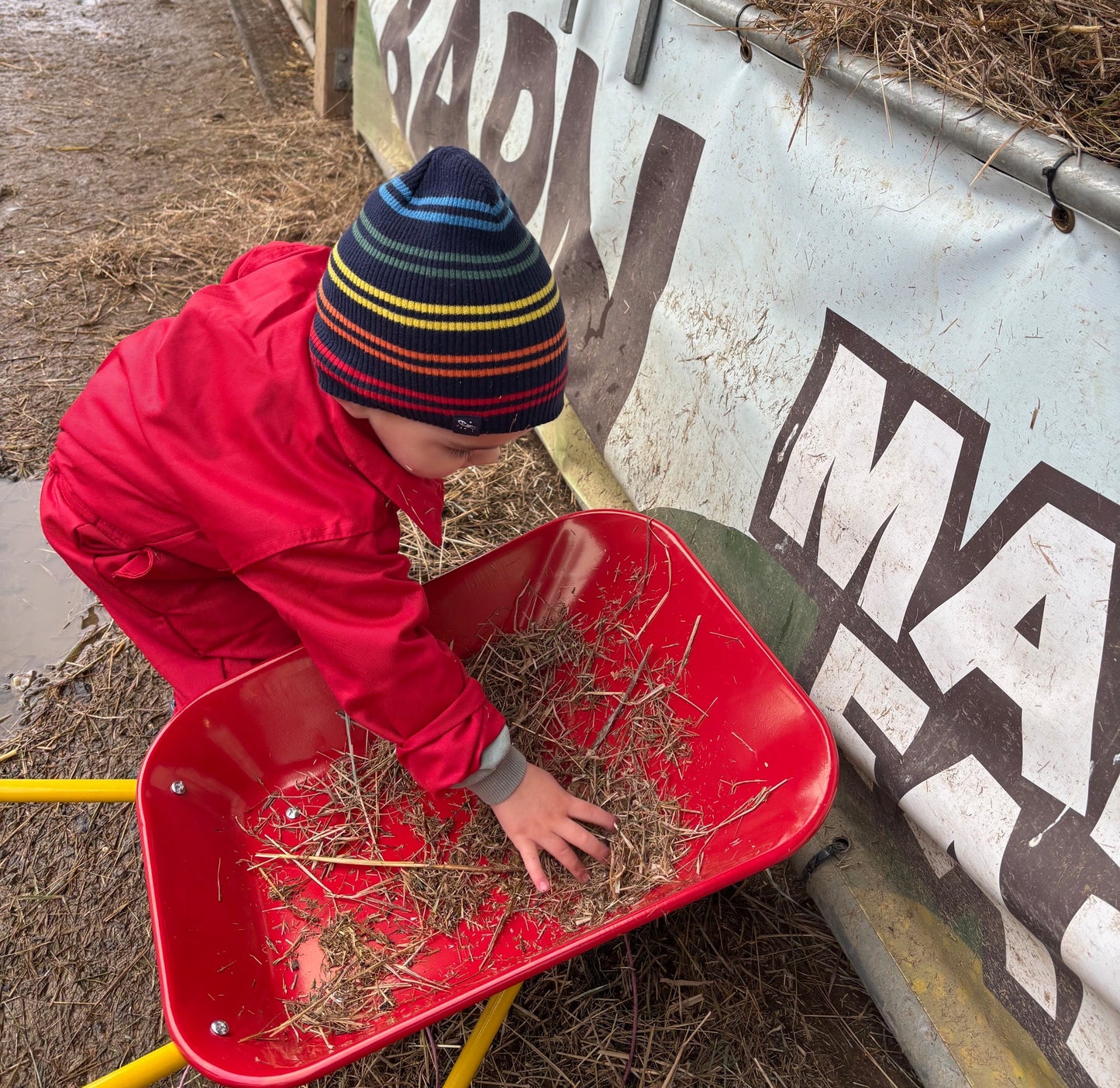 Teeny Tiny Farmers at Manor Farm - Thursday 8th, 15th, 22nd, 29th January, 5th or 12th February 2026 - 9.30am