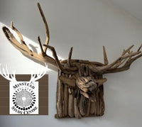Stag Head Made from Drift Wood - Minstead Study Centre - Saturday 3rd February 2024