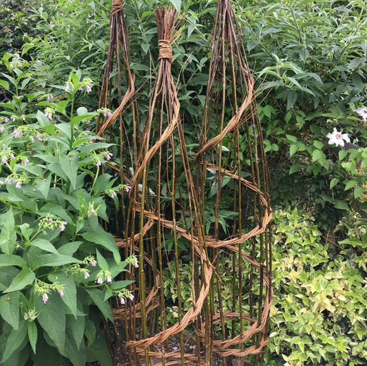 Willow Garden Obelisk Workshop - Minstead Study Centre - Saturday 22nd February 2025