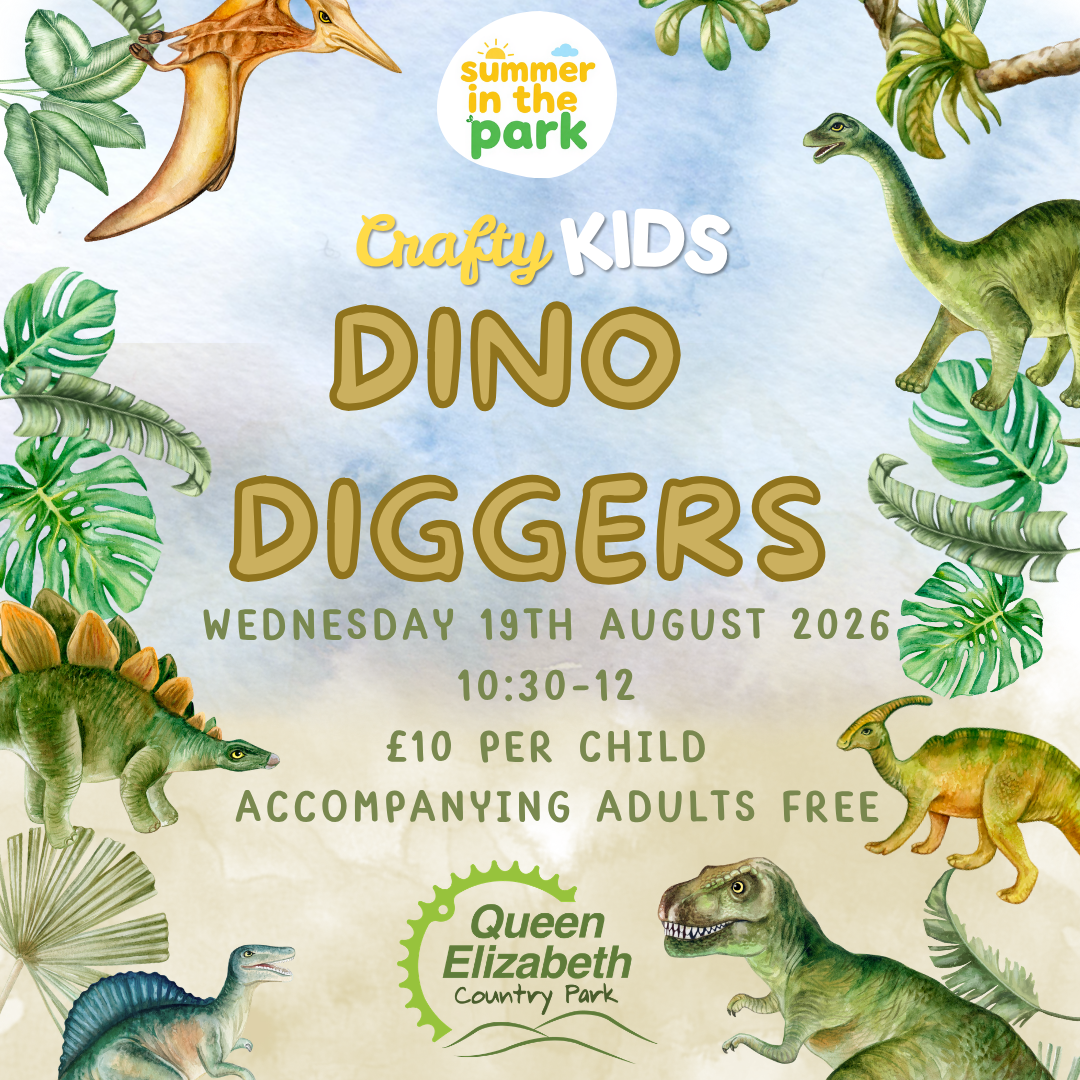 Crafty Kids Dino Diggers Workshop at Queen Elizabeth Country Park - Wednesday 19th August 2026 - 10.30am