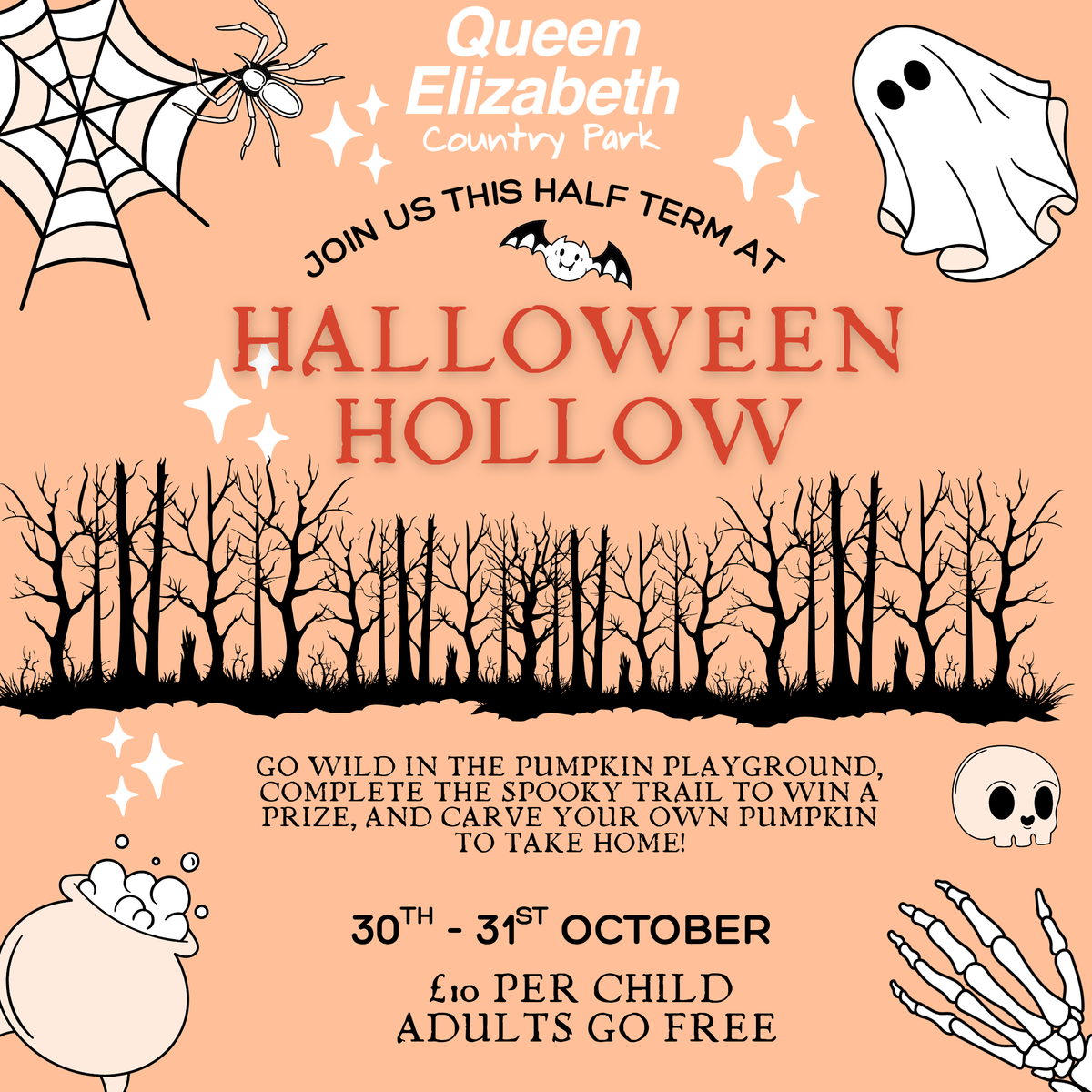 Halloween Hollow at Queen Elizabeth Country Park - Friday 30th or Saturday 31st October 2026