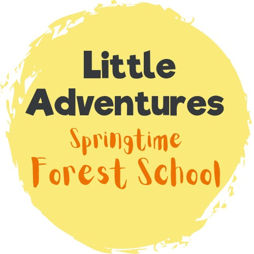 Little Adventures - Springtime Forest School at Queen Elizabeth Country Park - Thursday 30th May 2024