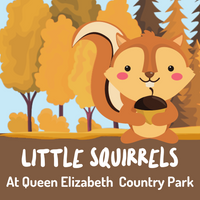 Little Squirrels at Queen Elizabeth Country Park - Autumn Two Term - Tuesday 5th December 2023