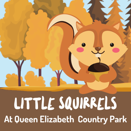 Little Squirrels at Queen Elizabeth Country Park - Autumn Two Term - Tuesday 5th December 2023