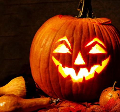 Pumpkin Carving at Queen Elizabeth Country Park - Thursday 30th October 2025