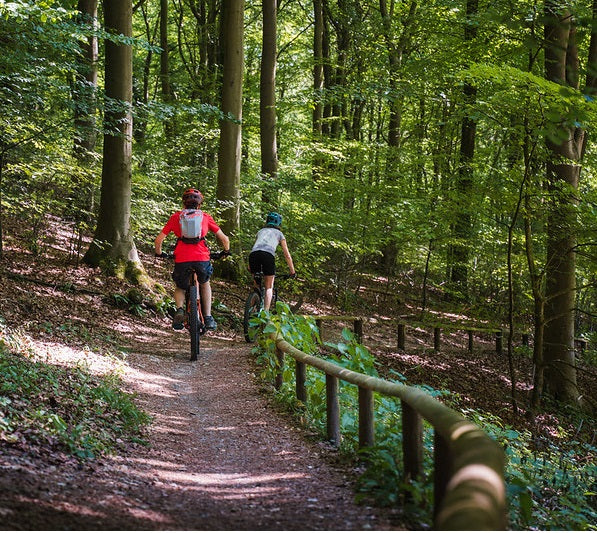 Trail Collective Social Ride Out with pizza at Queen Elizabeth Country Park - Saturday 5th July 2025