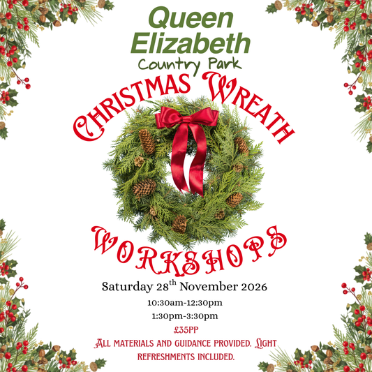 Christmas Wreath Making Workshops at Queen Elizabeth Country Park - Saturday 28th November 2026