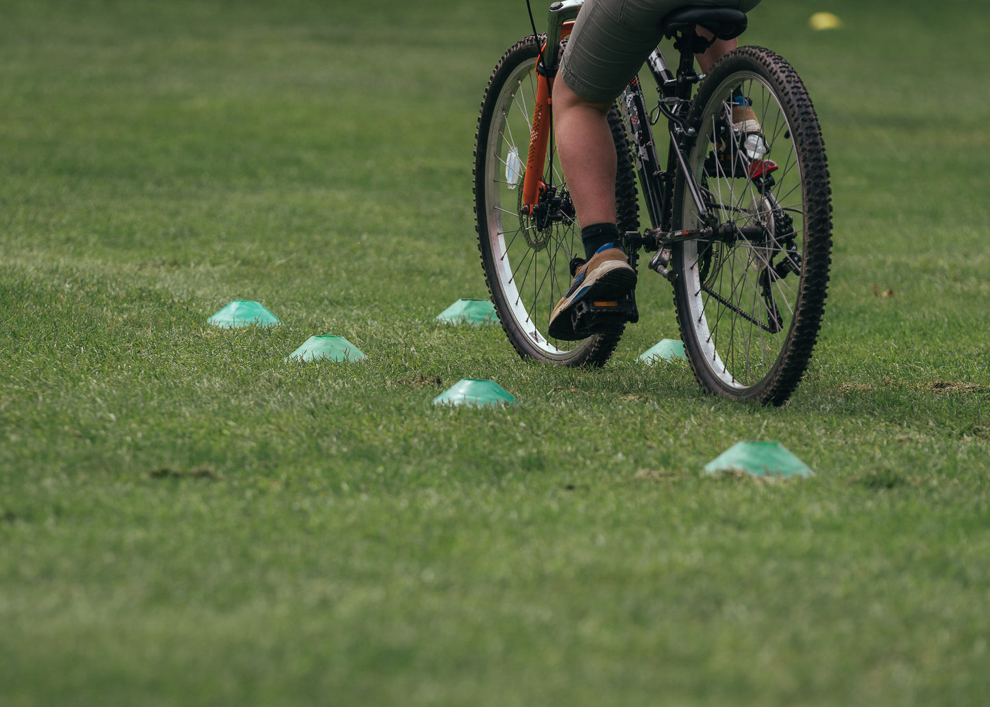 MTB Taster Coaching Sessions at Queen Elizabeth Country Park - Saturday 4th July 2026