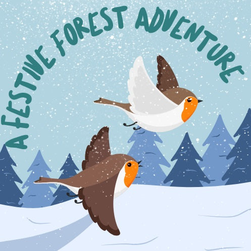 A Festive Forest Adventure at Queen Elizabeth Country Park - Saturday 30th November 2024 to Sunday 5th January 2025