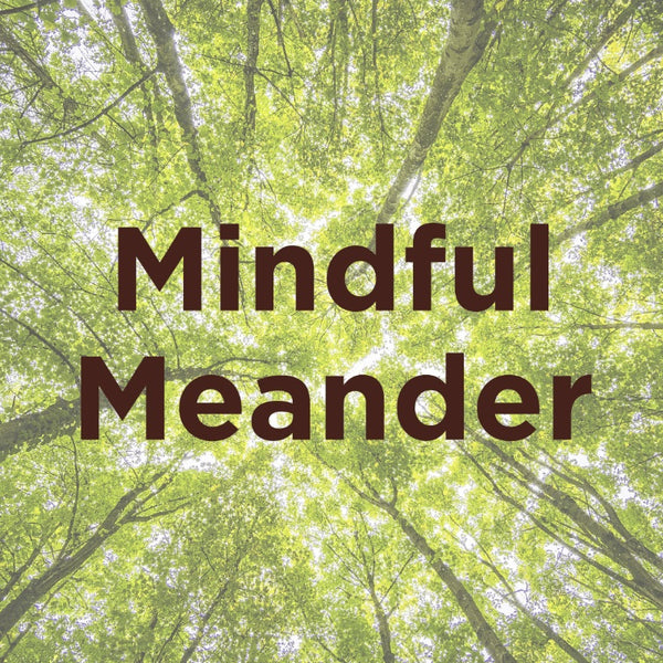 Mindful Meander - a Forest Bathing Experience at Queen Elizabeth Country Park - Sunday 3rd November or Sunday 1st December 2024