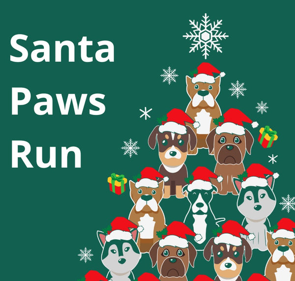 Santa Paws Run at River Hamble Country Park - Sunday 17th December 2023